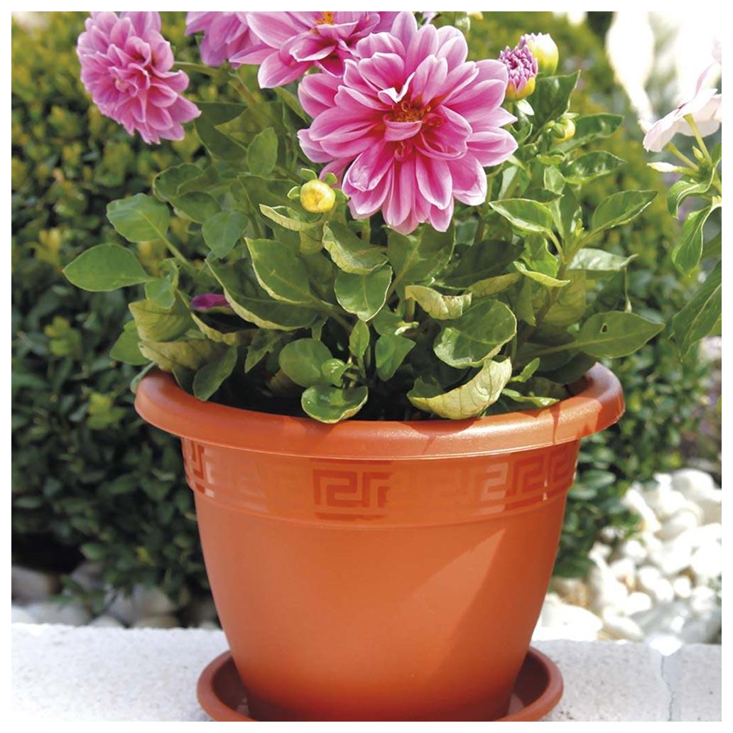 Vaso Redondo 25cm Terracota - Image 2